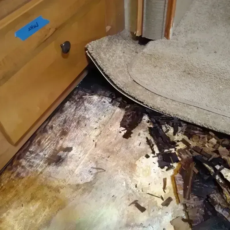 Wood Floor Water Damage in Broadway, NC